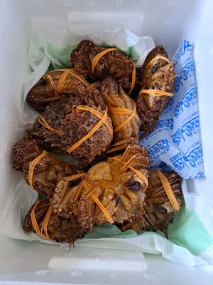 みんなの投稿の画像