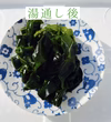 三陸産　初物❣️ 生わかめ　500g入り　刈りたて