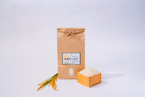 【新米】秋田県湯沢市産あきたこまち 白米 2kg〜30k