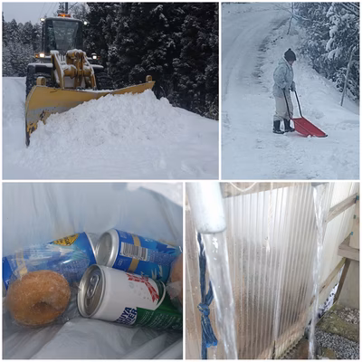 みんなの投稿の画像