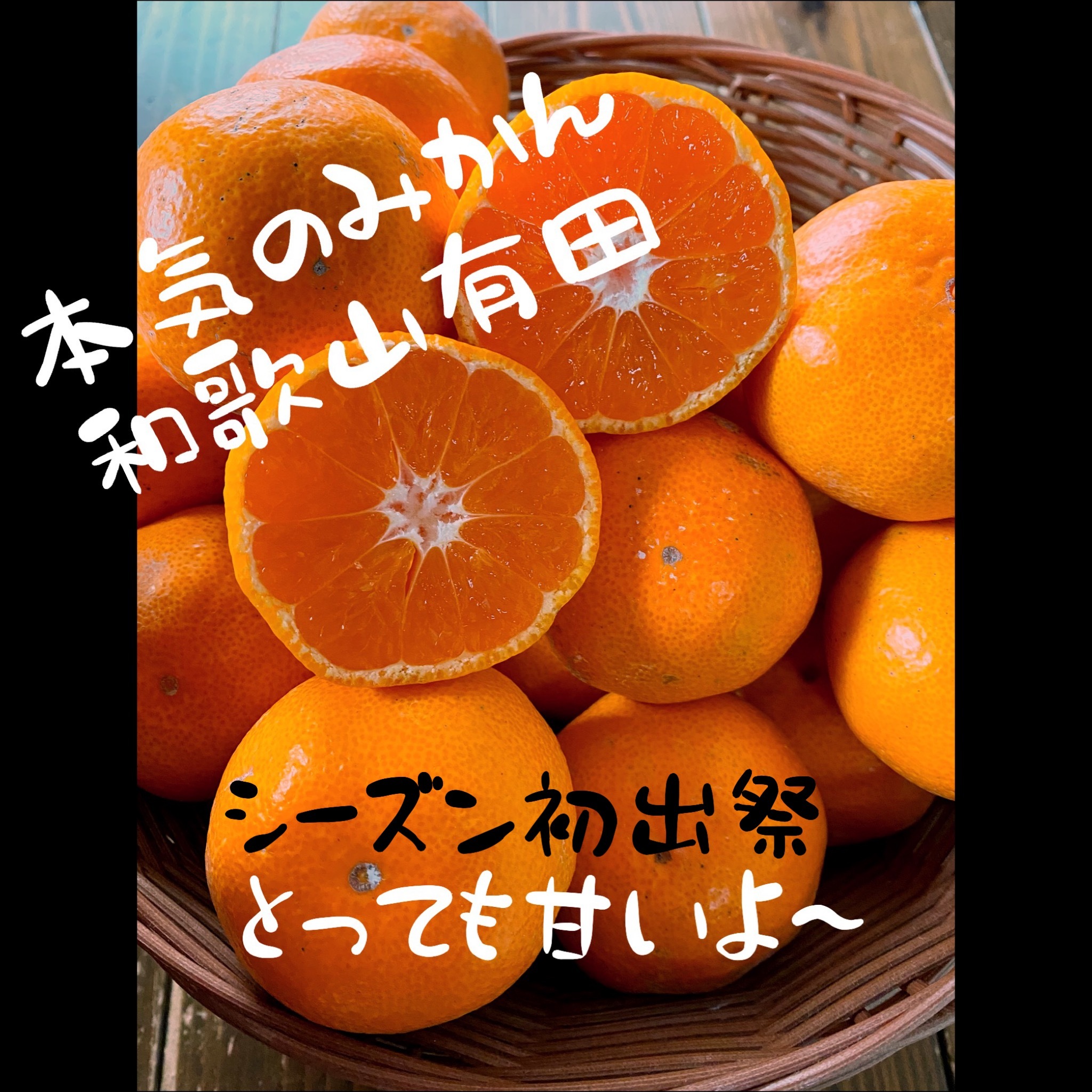 シーズン初出祭 有田みかん 家庭用 ミカン 農家漁師から産地直送の通販 ポケットマルシェ