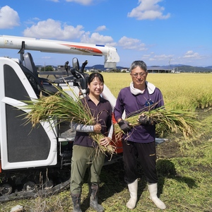 令和2年産特別栽培米にこまる〇精米３kg、５kg〇