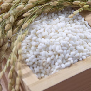 もち米(きぬはなもち)　Ｒ7年産　栃木県日光市産