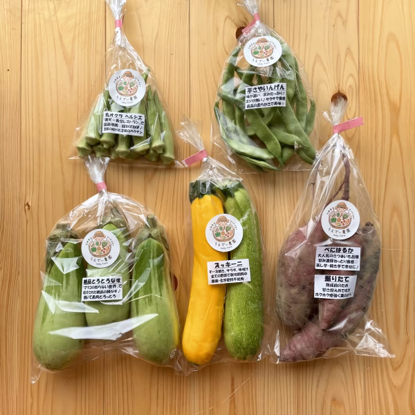 濃甘！野菜セット農薬・化学肥料不使用♪個包装