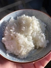 【玄米食】食べ比べお試しパック(全国送料一律)