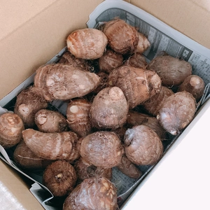 ねっとり食感の新潟県産　土垂里芋 