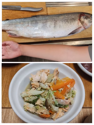 みんなの投稿の画像