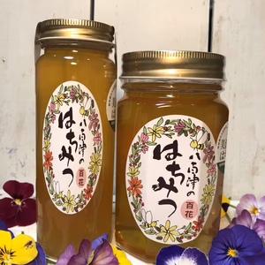 里山の天然はちみつ(百花)