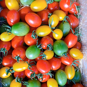 TVで紹介‼️三須トマト農園＜スペシャル宝石箱セット＞ 1.8kg・4kg