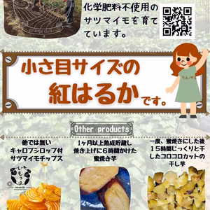 訳あり　紅はるか　詰め合わせ　約1.5kg