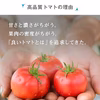 【トマトジュース専門農家】無添加トマトジュース180ml×30本
