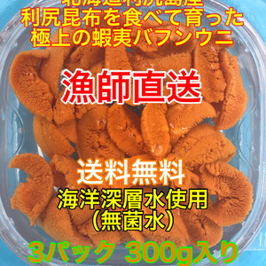 （送料無料）蝦夷バフンウニ（北海道利尻島産）3パック 300g入れ