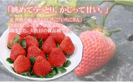 いちごさん（230g×2）
