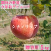 【贈答用5kg】シナノリップ 14〜20玉