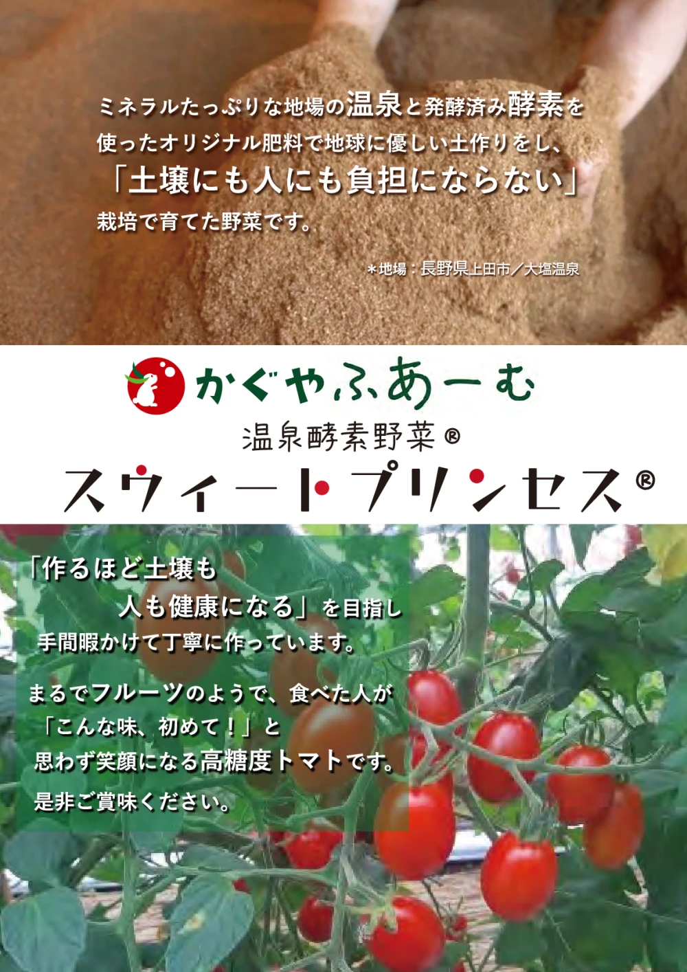 温泉酵素野菜 かぐやのトマト スウィートプリンセス
