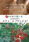 温泉酵素野菜 かぐやのトマト スウィートプリンセス