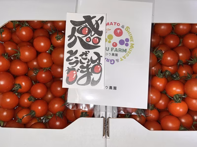 みんなの投稿の画像