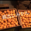 和歌山産　蔵出し　超大玉　みかん