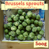 芽キャベツ・Brussels sprouts 500g
