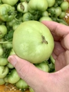 減農薬 桃太郎 グリーントマト 摘果トマト 約３kg