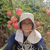 奈良友美