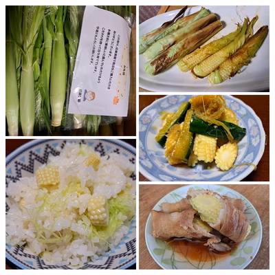 みんなの投稿の画像