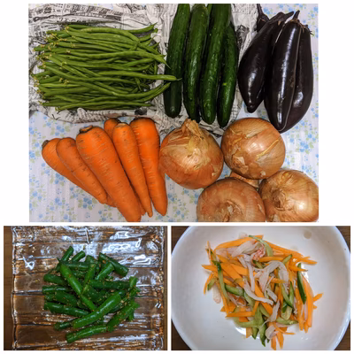 みんなの投稿の画像