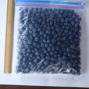 冷凍ハイブッシュ系サイズ混合ブルーベリー1kg