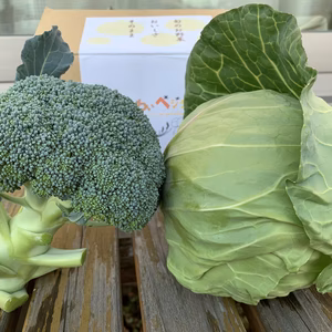 今が旬のお野菜ペアセット！