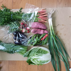 どさっと！旬の京野菜セット！【8～10品目】100サイズ