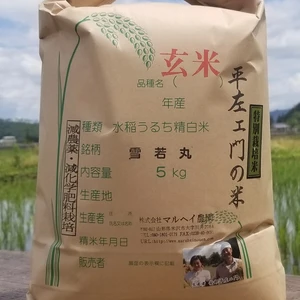 令和5年産　特別栽培米雪若丸玄米5㎏　