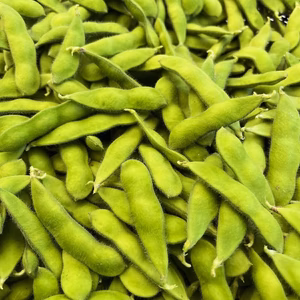 【朝採り】1度お試しください！味が濃厚な千葉県船橋産こだわり枝豆1㎏