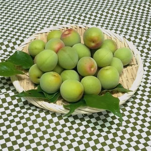 青梅・白加賀　３L以上サイズ（特大／梅干し・梅酒など）　約２kg～