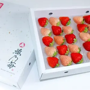 熊本産 雅乃苺 赤いちご 淡雪 紅白セット-250g×2パック