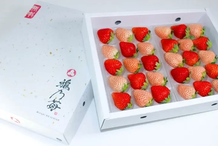 熊本産 雅乃苺 赤いちご 淡雪 紅白セット-250g×2パック｜果物の商品