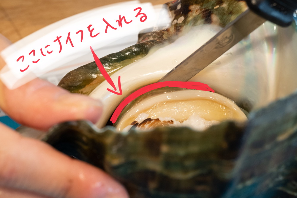 夜光貝】殻も身も超特大！漁師直送の夜光貝を捌いて食べてみた | 農家