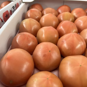 【今だけ価格】規格外トマト大好き！大玉トマト4㎏箱