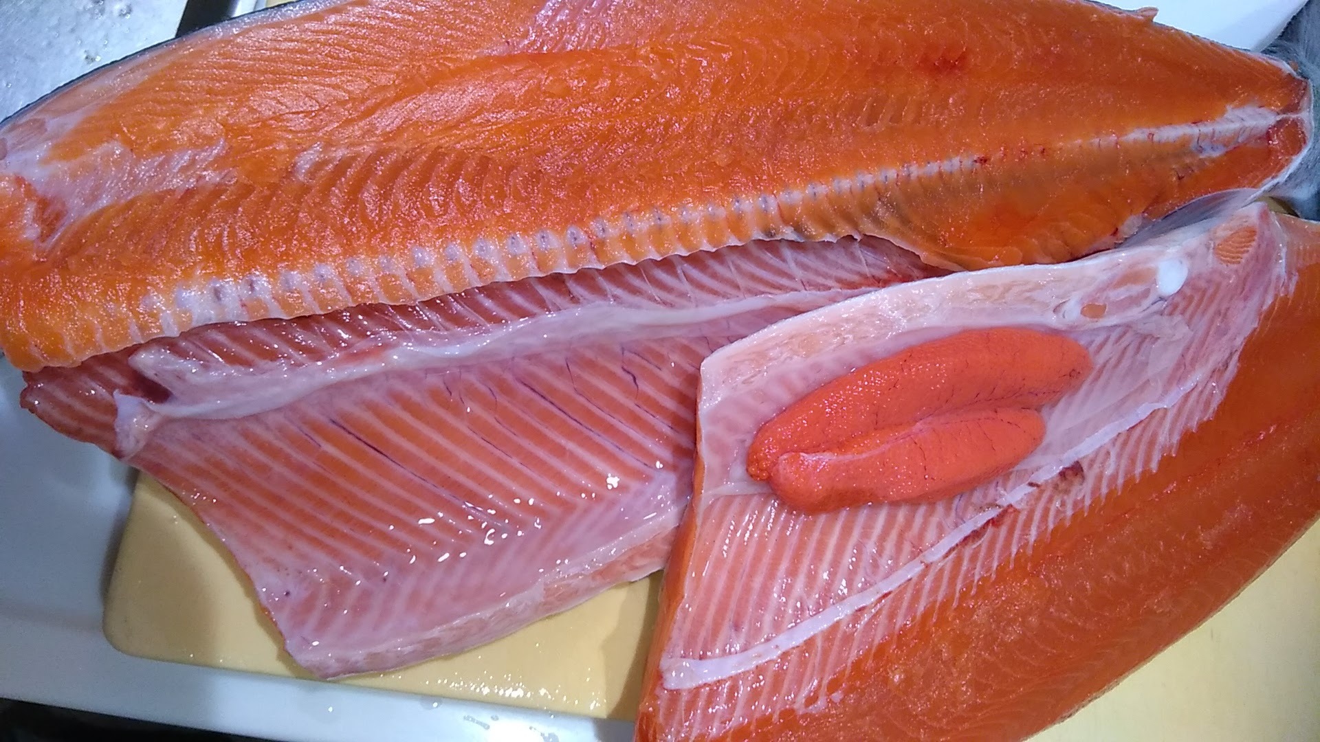 今年も旨い 匠の活〆 サクラマス 農家漁師から産地直送の通販 ポケットマルシェ