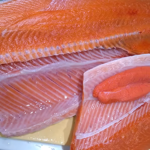 今年も旨い！匠の活〆！サクラマス