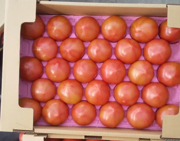 【100%純桃太郎】桃太郎トマトSor2sサイズ4キロ箱