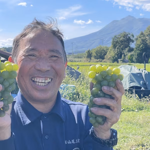 清三の青春白ブドウ