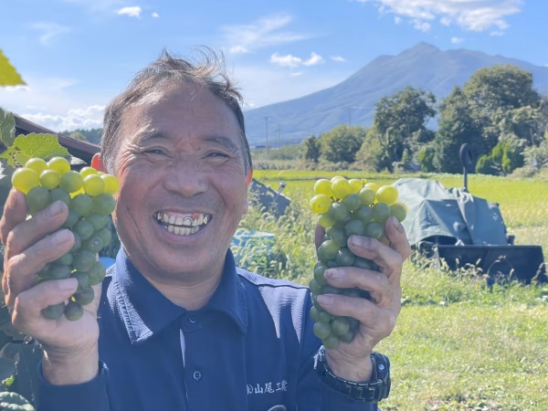 清三の青春白ブドウ