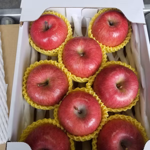 蜜チェック済み樹上完熟サンふじ特秀