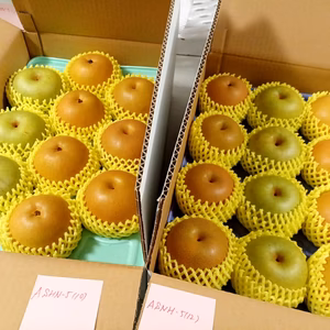 ASHN-5(10.12) 贈答用5Kg３和梨種類盛り