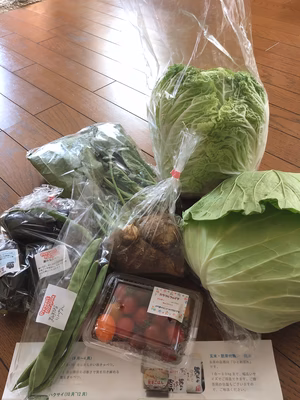 みんなの投稿の画像