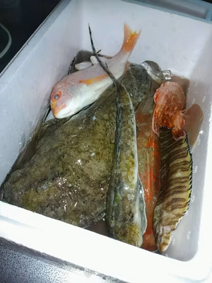 みんなの投稿の画像