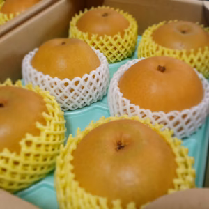 R7AAHS3 限定３箱【贈答用】日本梨３種類　3Kg