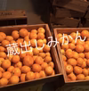 和歌山産　蔵出し　みかん　超小粒
