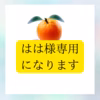 はは様専  有田みかん　みかん　訳あり品  サイズ2Sから2L 見た目だけ悪い