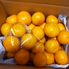 くせになる味！温州みかん《小さいサイズ》